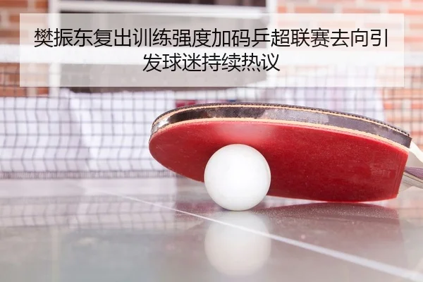 樊振东复出训练强度加码乒超联赛去向引发球迷持续热议